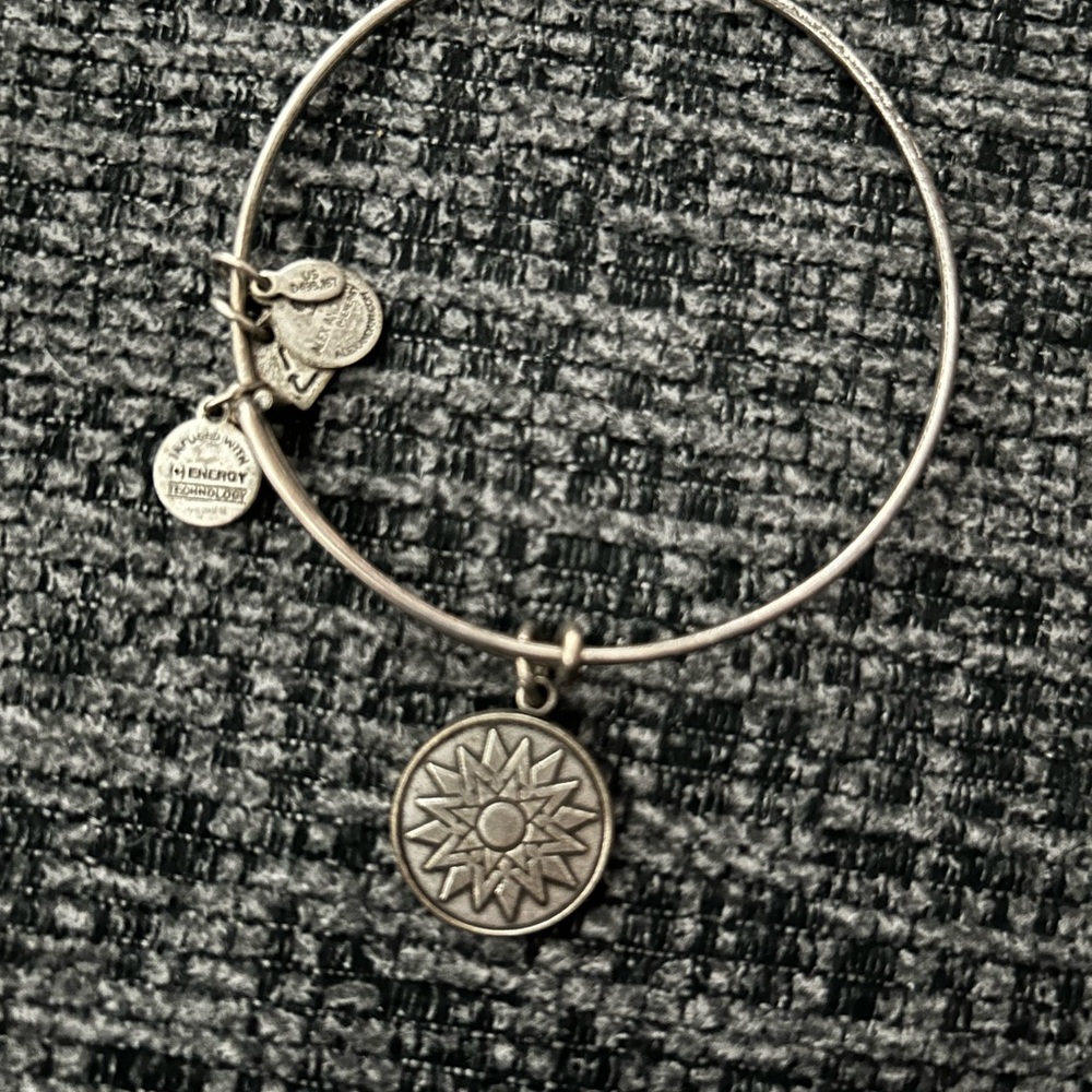 Alex and Ani Gold and Silver Charm Bracelets